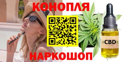 СК Бийск