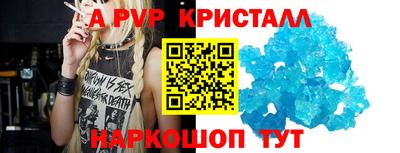 СК Бийск