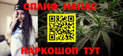 СК Бийск