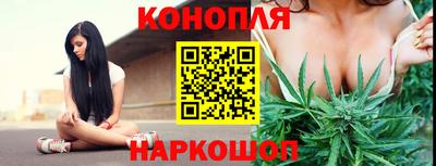 СК Бийск