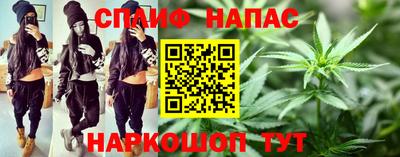 СК Бийск