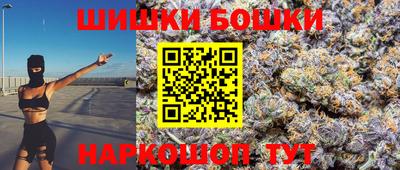 СК Бийск